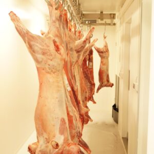 raw meat on white table